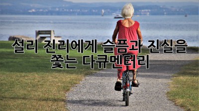 설리, 진리에게: 슬픔과 진실을 쫓는 다큐멘터리
